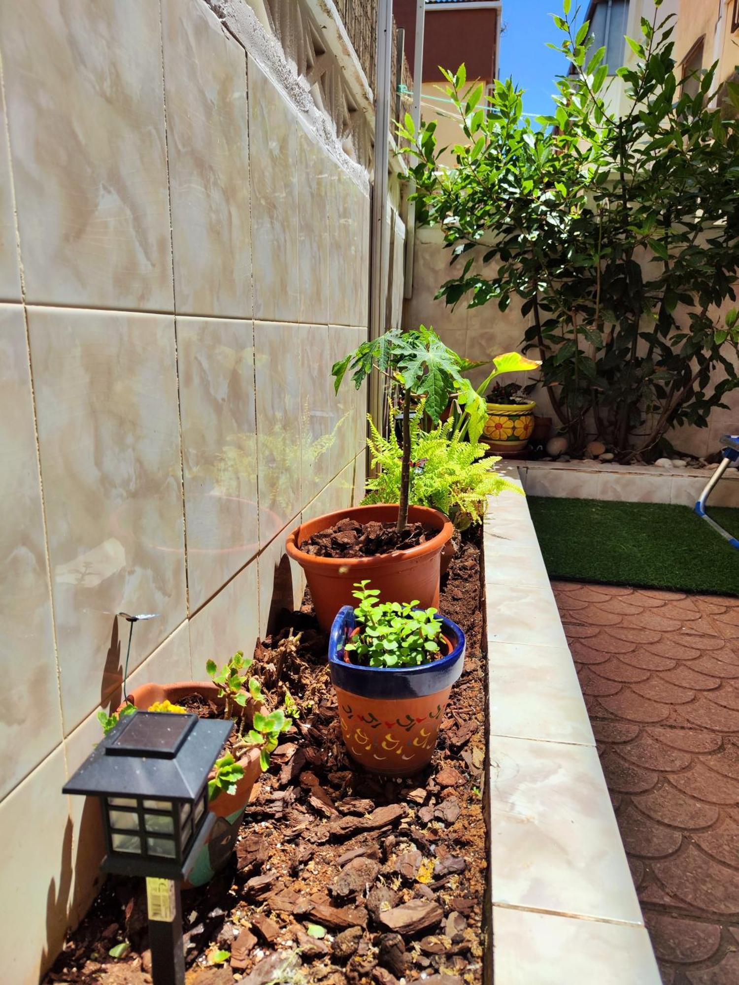 Alce Rincon Del Mar - Planta Baja Con Patio - A 100M Playa Morro De Gos Appartement Oropesa del Mar Buitenkant foto